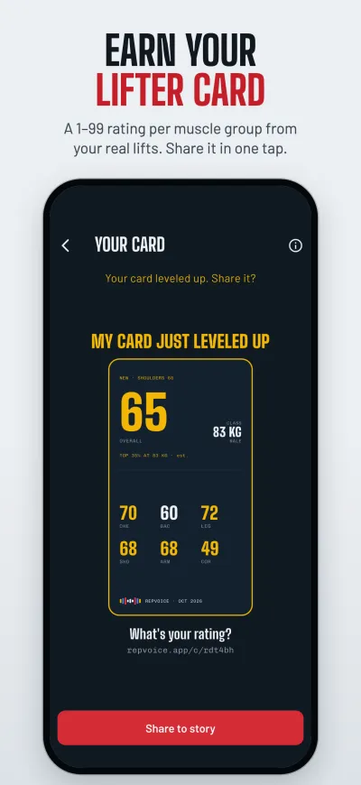 The Lifter Card with ratings per muscle group
